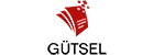 Gütsel: Waschsauger für Polster, Textilien, Autositze, 400 Watt, 9 kPa