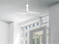 ; Deckenventilatoren mit Lampe 